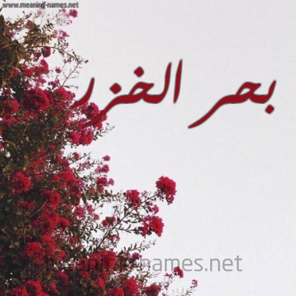 شكل 18 صوره الورد الأحمر للإسم بخط رقعة صورة اسم بحر الخزر BHR-ALKHZR